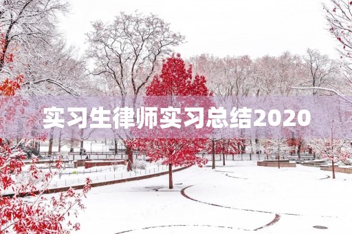 实习生律师实习总结2020 实习生律师实习总结2020