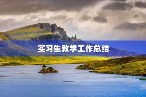 实习生教学工作总结 实习生教学工作总结