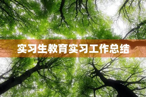 实习生教育实习工作总结