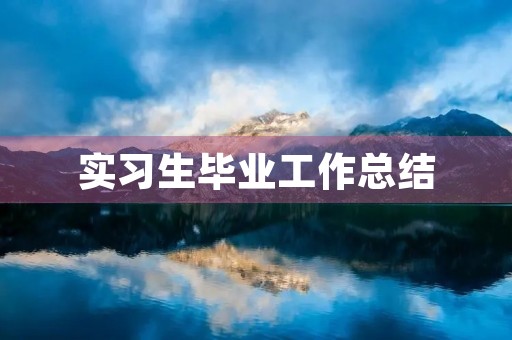 实习生毕业工作总结 实习生毕业工作总结