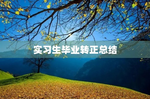 实习生毕业转正总结