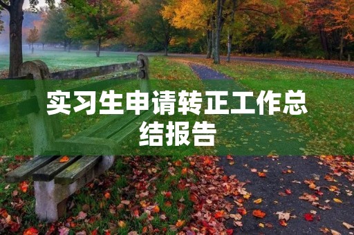 实习生申请转正工作总结报告