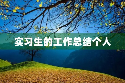 实习生的工作总结个人