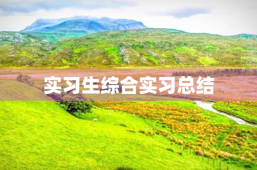 实习生综合实习总结