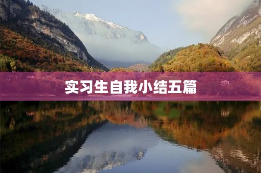 实习生自我小结五篇 实习生自我小结五篇