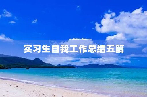 实习生自我工作总结五篇