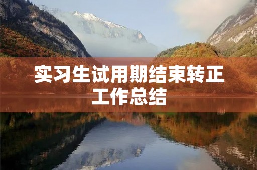 实习生试用期结束转正工作总结