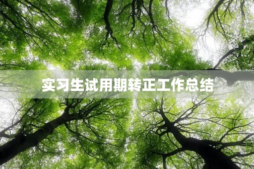 实习生试用期转正工作总结
