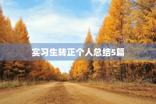 实习生转正个人总结5篇