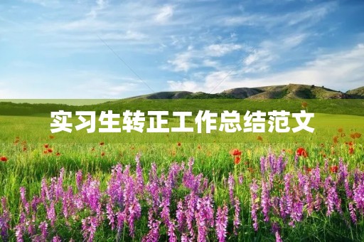 实习生转正工作总结范文