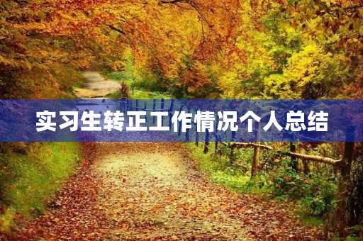 实习生转正工作情况个人总结