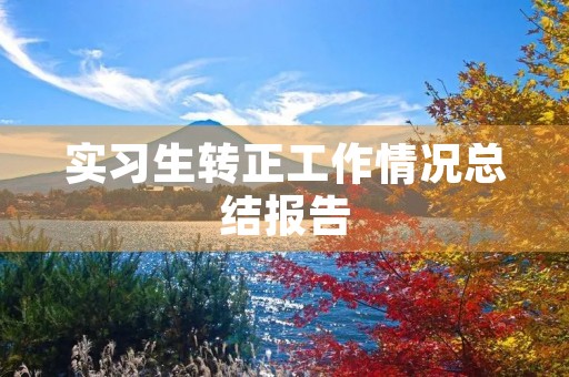实习生转正工作情况总结报告