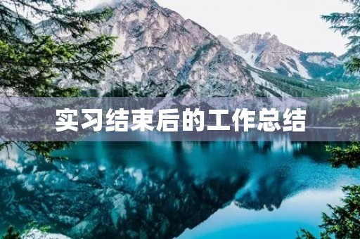 实习结束后的工作总结 实习结束后的工作总结