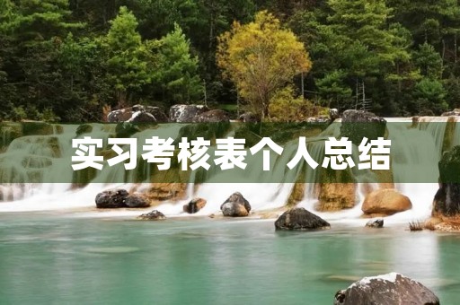 实习考核表个人总结