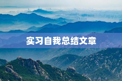 实习自我总结文章