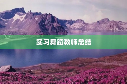 实习舞蹈教师总结