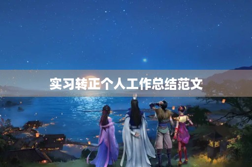 实习转正个人工作总结范文