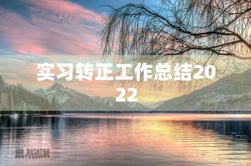 实习转正工作总结2022