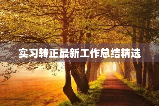 实习转正最新工作总结精选