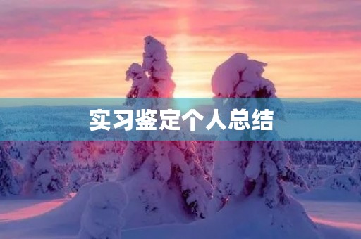 实习鉴定个人总结