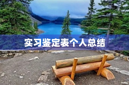 实习鉴定表个人总结 实习鉴定表个人总结