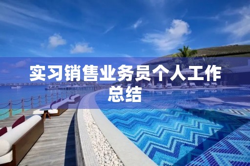 实习销售业务员个人工作总结