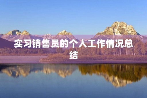 实习销售员的个人工作情况总结