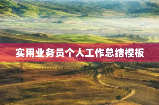 实用业务员个人工作总结模板