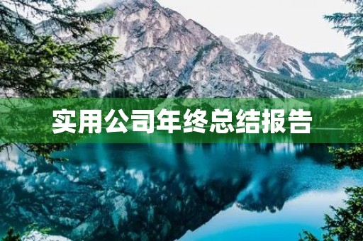 实用公司年终总结报告