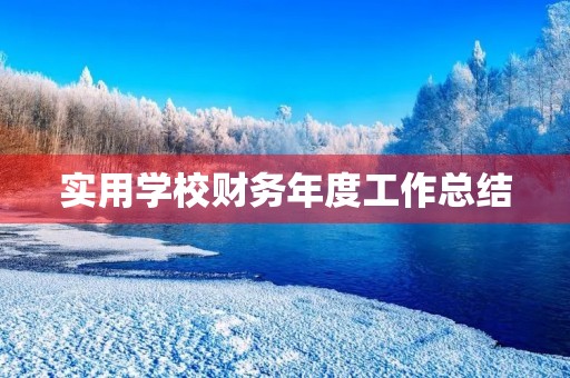 实用学校财务年度工作总结