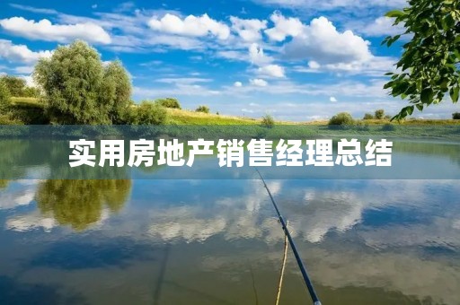实用房地产销售经理总结 实用房地产销售经理总结