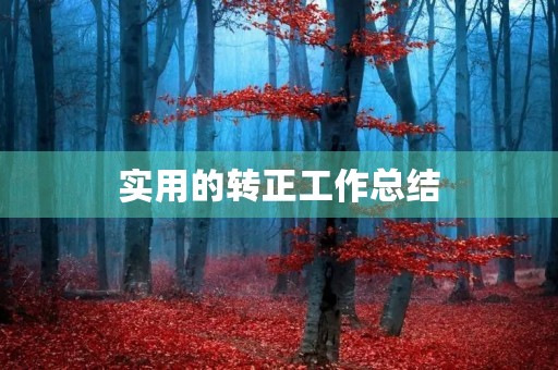 实用的转正工作总结