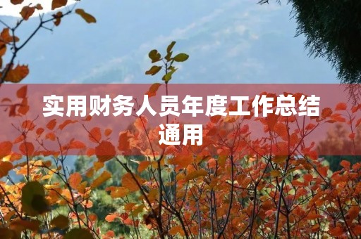 实用财务人员年度工作总结通用