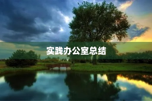 实践办公室总结