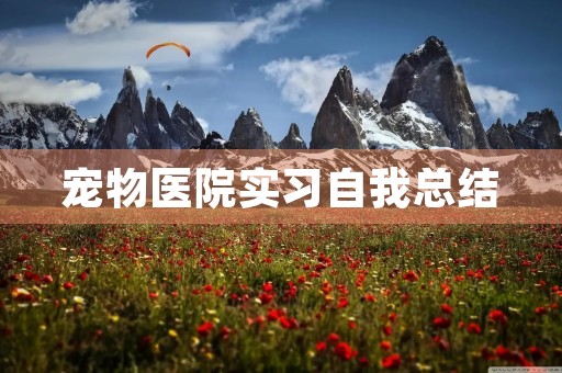 宠物医院实习自我总结 宠物医院实习自我总结