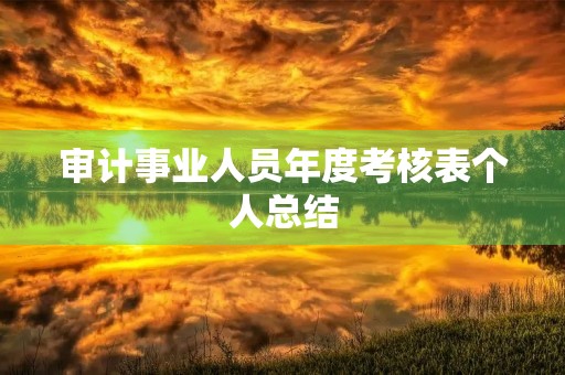 审计事业人员年度考核表个人总结