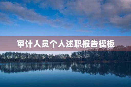 审计人员个人述职报告模板
