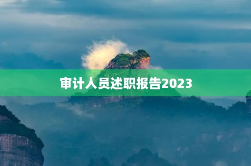 审计人员述职报告2023 审计人员述职报告2023