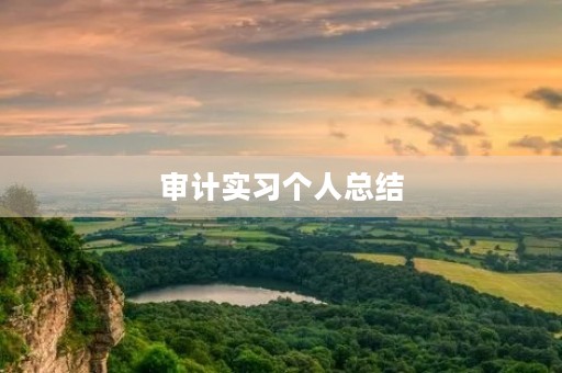 审计实习个人总结