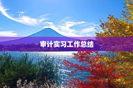 审计实习工作总结【7篇】
