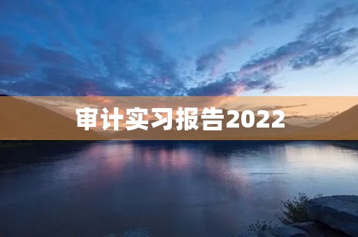 审计实习报告2022 审计实习报告2022