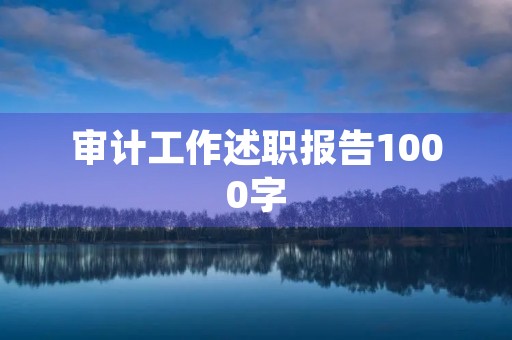审计工作述职报告1000字