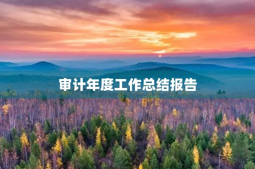 审计年度工作总结报告