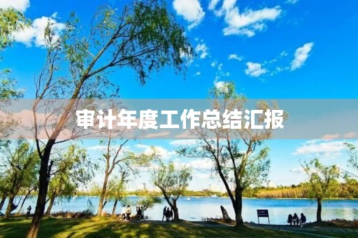 审计年度工作总结汇报