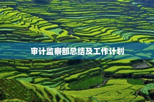 审计监察部总结及工作计划