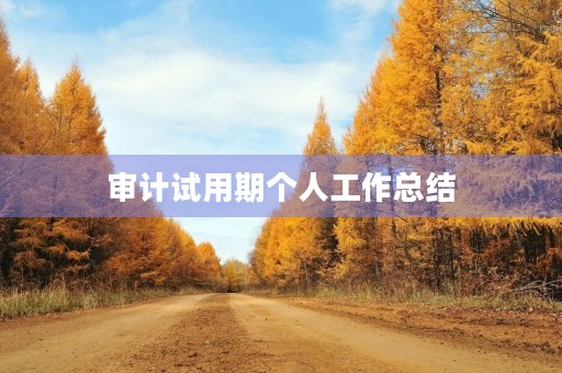 审计试用期个人工作总结