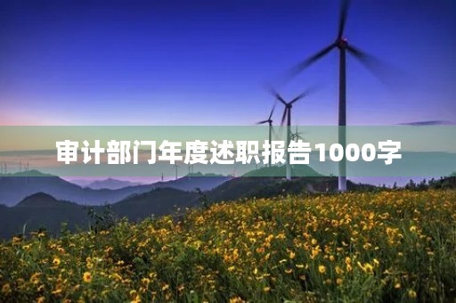 审计部门年度述职报告1000字