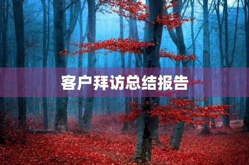 客户拜访总结报告 客户拜访总结报告