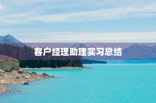 客户经理助理实习总结 客户经理助理实习总结