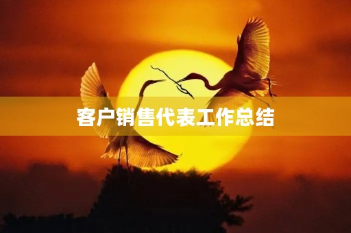 客户销售代表工作总结